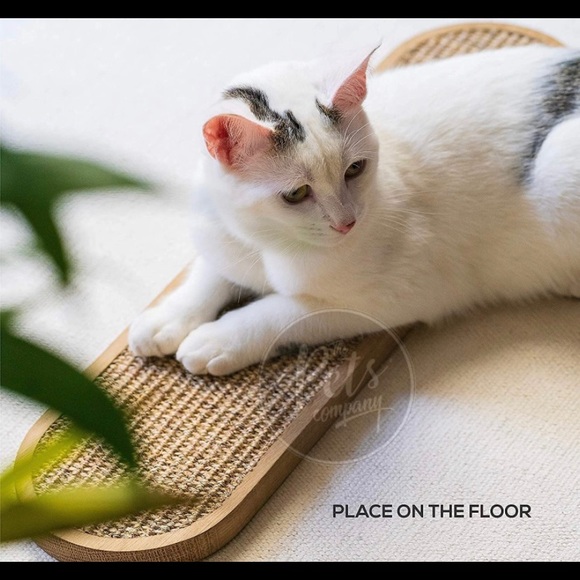 Scratchpad for Cats, kittens - Picture 2 of 5